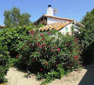 Streifzug um die Häuser von Le Racou