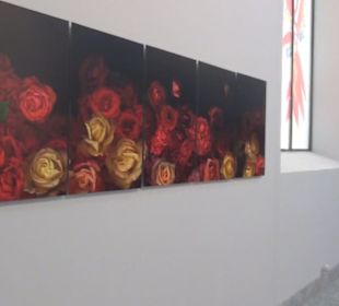 Real Jardín Botánico de Madrid