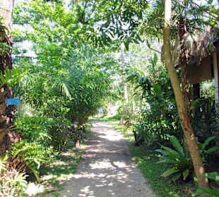 Der Weg durch die Green Beach-Bungalow-Anlage