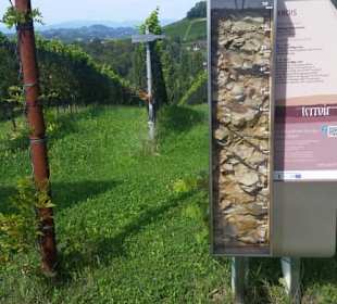 Rast am Weinweg
