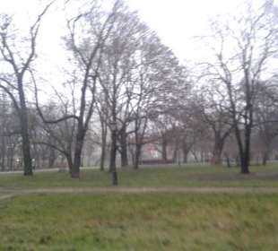 Park Staromiejski 