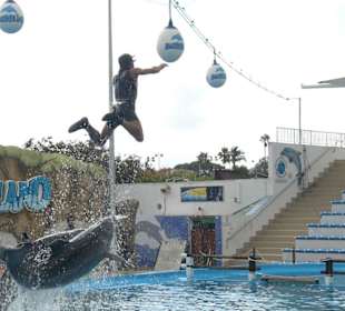 Marineland Mallorca