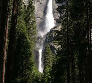Upper and Lower Yosemite Fall