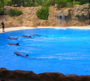 Ausflüge. Loro Park