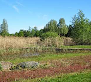 Eindrücke aus dem Wietzepark