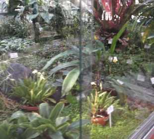 Botanischer Garten