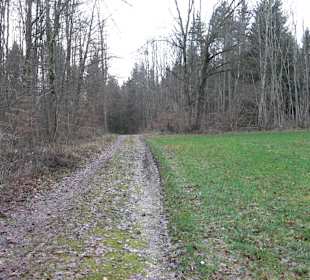 Brühl-Brünnele Ehestetten