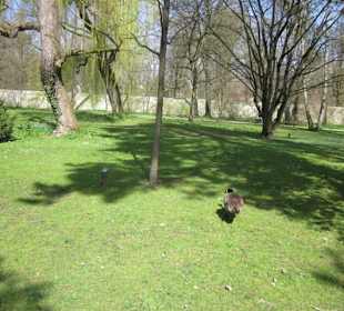 Schlossgarten Schwetzingen
