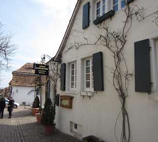 Außenansicht mit Theresienstrasse