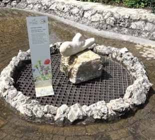 Blühendes Neresheim 2021