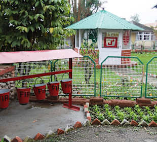 Teefabrik Puttabong Tea Estate