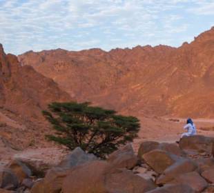 Private Jeep Safari mit Your Private TOURS EGYPT