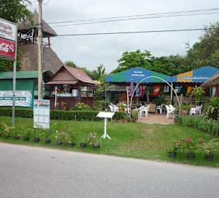 Pana's Bar / Horny Gecko Grill