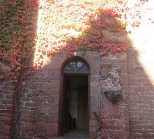 Klosterruine Limburg