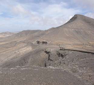Piste nach Punta de Jandia/Cofete