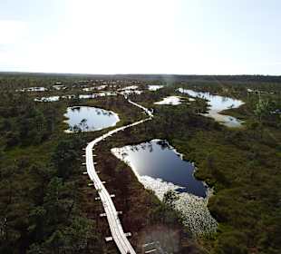Bohlenweg durchs Kemeru-Moor