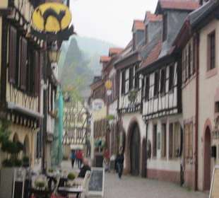 Aussenansicht Backblech