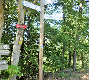 Abzweigung Onkel Toms Hütte