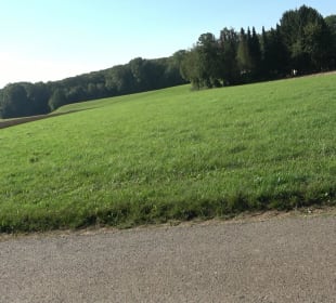 Kelten-Erlebnis-Pfad Erkenbrechtsweiler