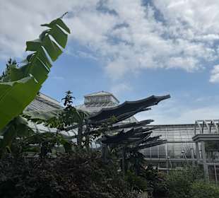 Botanischer Garten in Washington 