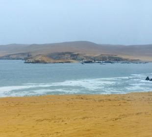 Nationalreservat Paracas