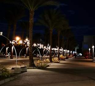 Yachthafen Port Ghalib