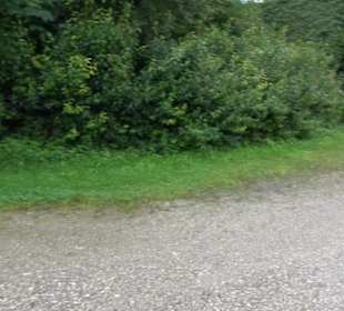 Schloss Rezensried (Ammersee)