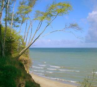 Angrenzender Wanderweg mit Ausblick  - Hotel Wilhelmshöhe