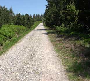 Wandergebiet Ruhestein