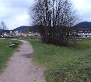 Schelkle Wiesen