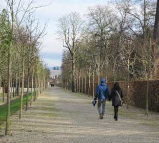 Schlosspark Schwetzingen im Winter