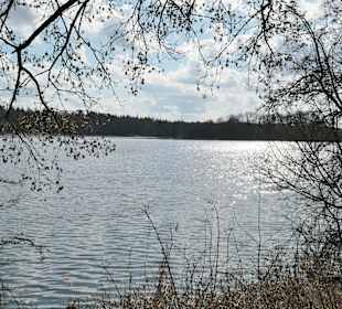 Spaziergang rund um den Baggersee