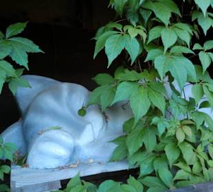 Schlafende "Graue Katze"