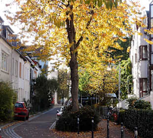 Herbstspaziergang durch das Ostertor-Viertel