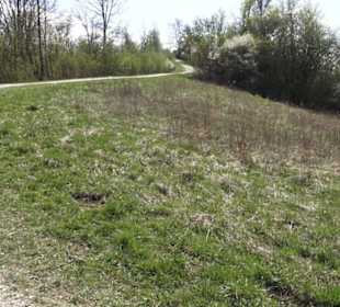 Sport- und Freizeitpark Markwasen
