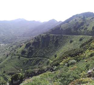 Mirador de Baracan in Buenavista del Norte