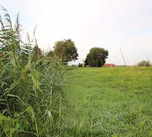 Feuchtgebiet am Radweg