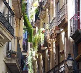 Impressionen aus dem Barri Gòtic