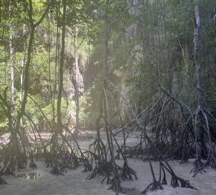 Phang Nga Bucht/Nationalpark Ao Phang Nga