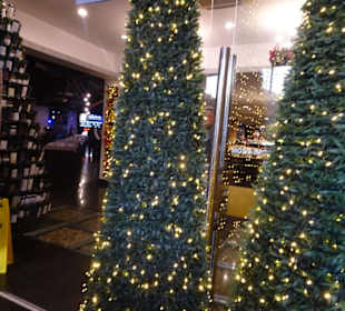 Stadtrundgang Foz do Iguacu