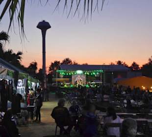 Abendstimmung über dem Gelände