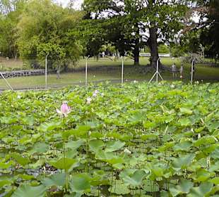 Gartenansichten