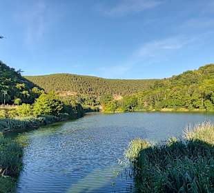 Wandern Bad Dürkheim