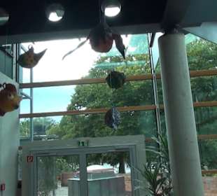 Meeresmuseum Stralsund