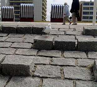 Promenade Weststrand