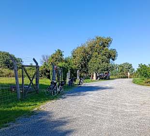Die Brücke von Andau 