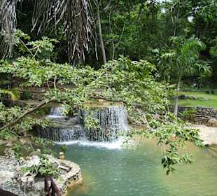 Ausflug Nationalpark "Los Haitises"