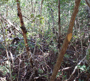 Unterwegs auf den Wanderwegen