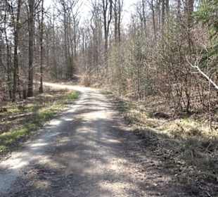 Geologischer Lehrpfad Kirnbachtal
