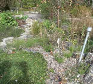 Alpinum